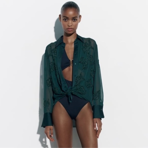 Zara Embroiled Semi Sheer Top - Picture 3 of 8